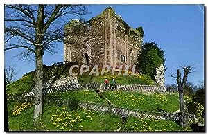 Seller image for Carte Postale Moderne Daffodil Time At Guildford Castle for sale by CPAPHIL