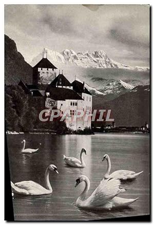 Imagen del vendedor de Carte Postale Moderne Montreux Chteau De Chillon Et Les Dents Du Midi Cygnes a la venta por CPAPHIL