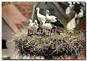 Image du vendeur pour Carte Postale Moderne L'Alsace Pittoresque Nid de Cigognes oiseaux mis en vente par CPAPHIL