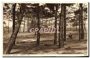 Seller image for Carte Postale Ancienne Wimbledon Common Caesar's Well for sale by CPAPHIL