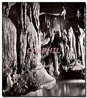 Bild des Verkufers fr Carte Postale Moderne Grottes De Betharram Champignons Renverses zum Verkauf von CPAPHIL