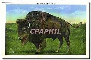 Carte Postale Ancienne Buffalo New York