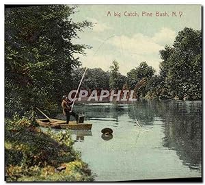 Carte Postale Ancienne A Big Catch Pine Bush NY Peche Pecheur