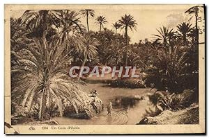 Carte Postale Ancienne Un Coin d'Oasis