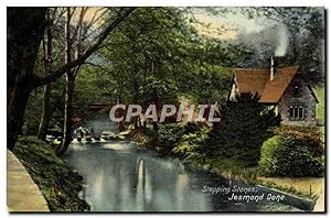 Carte Postale Ancienne Stepping Stones Jesmond Dene