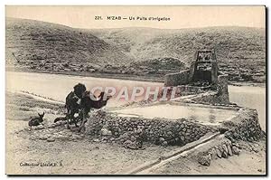 Carte Postale Ancienne Mzab Un Puits D'irrigation Chameau