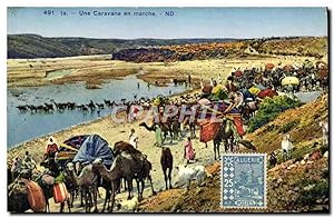 Carte Postale Ancienne Une Caravane En Marche Chameaux