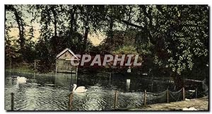 Carte Postale Ancienne Birmingham The duck pond