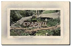 Carte Postale Ancienne Pasoeroean Landschap Bij Prigen