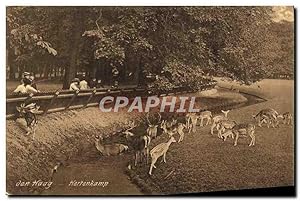 Carte Postale Ancienne Herrekamp Den Haag