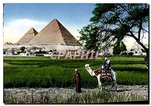 Carte Postale Moderne Cairo The Pyrarnids of Giza Egypte Chameau