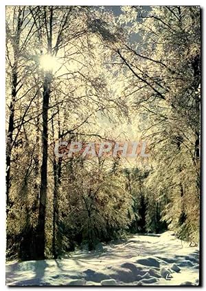 Image du vendeur pour Carte Postale Moderne L'Hiver En Dentelles mis en vente par CPAPHIL