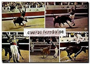 Seller image for Carte Postale Moderne Course Landaise De Gauche Corrida Taureau for sale by CPAPHIL