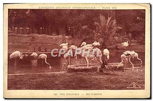Imagen del vendedor de Carte Postale Ancienne Exposition Coloniale Internationale Paris 1931 Parc zoologique Des flamants Zoo Oiseau a la venta por CPAPHIL