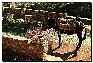 Immagine del venditore per Carte Postale Moderne Alte Algarve Portugal Aguada Na Fonte Nova Eau De La Fontaine Nouvelle venduto da CPAPHIL