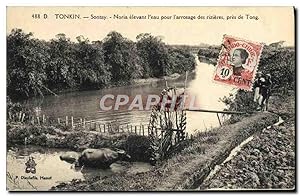 Carte Postale Ancienne Tonkin Sontay Noria Elevant l'Eau Pour l'Arrosage Des Rizieres Pres De Ton...