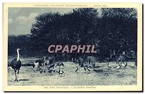 Image du vendeur pour Carte Postale Ancienne Exposition Coloniale Internationale De Paris Parc Zoologique La savane africaine Autruche Zebre Zoo mis en vente par CPAPHIL