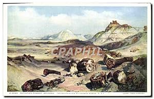 Carte Postale Ancienne Arizona Petrified Forest