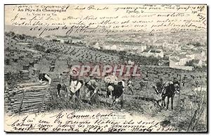 Carte Postale Ancienne Au Pays Du Champagne Le travail de la vigne TOP