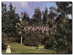 Carte Postale Moderne Beautiful Cypress Gardens Florida