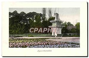 Carte Postale Ancienne Hyacinthenvelden Moulin