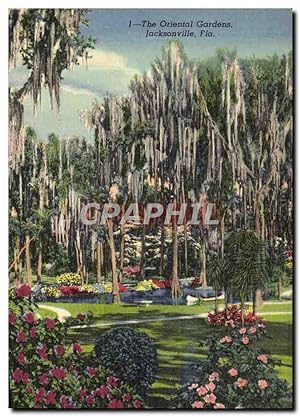Carte Postale Ancienne The Oriental Gardens Jacksonville Fla