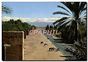 Carte Postale Moderne Marrakech Les Remparts Et Le Grand Atlas