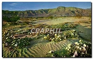 Image du vendeur pour Carte Postale Moderne Etast Unis Dessert mis en vente par CPAPHIL