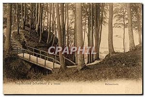 Carte Postale Ancienne Augustusbad Scharbeulz D Ostsee Wolfsschlucht