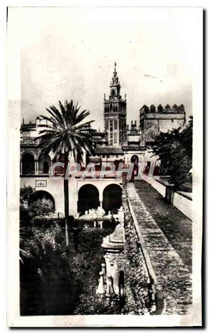 Carte Postale Moderne Sevilla La Giralda Desde Los Reales Alcazares La Giralda Des l'Alcazar Royal