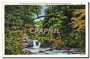 Carte Postale Ancienne The Arched Tree Over A Trout Stream In Pennsylvania's Dreamland