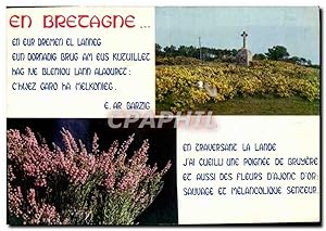 Carte Postale Moderne En Bretagne En Eur Dremen El Lanneg