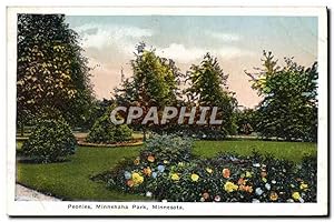 Carte Postale Ancienne Peonies Minnehaha Park Minnesota