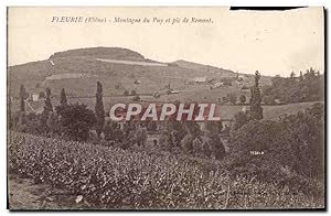 Carte Postale Ancienne Fleurie Montagne Du Puy Et Pic De Remont