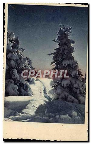 Image du vendeur pour Carte Postale Ancienne Fantaisie Sapin sous la neige mis en vente par CPAPHIL