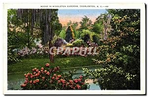 Carte Postale Ancienne Scene in Middleton Gardens Charleston S C