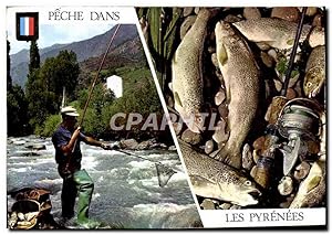 Image du vendeur pour Carte Postale Moderne Peche Dans Les Pyrenees Truite mis en vente par CPAPHIL