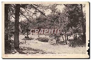 Carte Postale Ancienne Font Romeu Un coin de la forêt