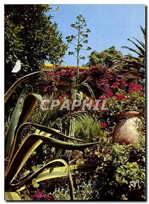 Bild des Verkufers fr Carte Postale Moderne Couleurs Et Lumiere De France La Cote d'Azur Miracle De La Nature Jardin Provencal zum Verkauf von CPAPHIL