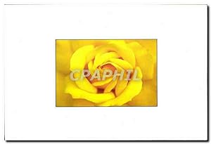 Seller image for Carte Postale Moderne Fleur for sale by CPAPHIL