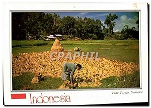 Bild des Verkufers fr Carte Postale Moderne Indonesia Tana Toraja zum Verkauf von CPAPHIL