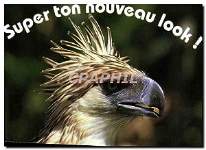 Bild des Verkufers fr Carte Postale Moderne Super ton nouveau look Rapace Oiseau zum Verkauf von CPAPHIL