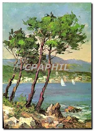 Carte Postale Moderne En Provence Pins Maritimes