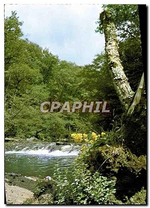 Bild des Verkufers fr Carte Postale Moderne Campagne Pittoresque Arbres zum Verkauf von CPAPHIL