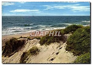 Carte Postale Moderne Dunes