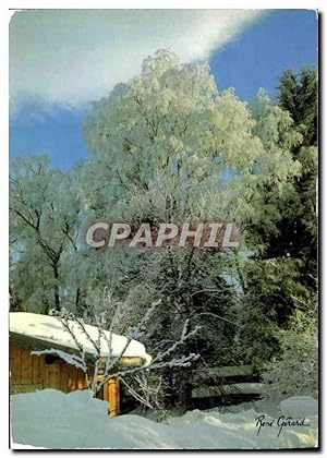 Image du vendeur pour Carte Postale Moderne Parure De Givre mis en vente par CPAPHIL