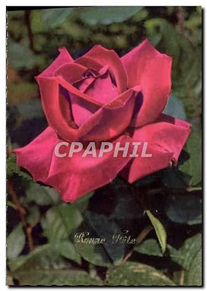 Bild des Verkufers fr Carte Postale Moderne Fleurs Rose zum Verkauf von CPAPHIL