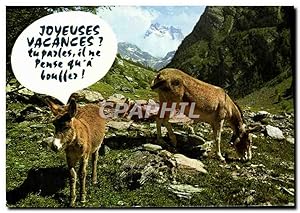 Imagen del vendedor de Carte Postale Moderne Joyeuses Vacances Ane Mule a la venta por CPAPHIL