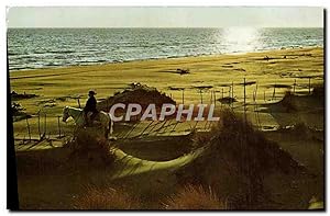 Seller image for Carte Postale Moderne Contre jour et cavalier Cheval for sale by CPAPHIL