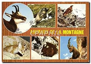 Imagen del vendedor de Carte Postale Moderne Animaux De La Montagne Chamois Marmotte Aigle Royal Rapace Renard Ecureuil Bouqueton a la venta por CPAPHIL